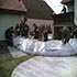 duernkrut_012_small